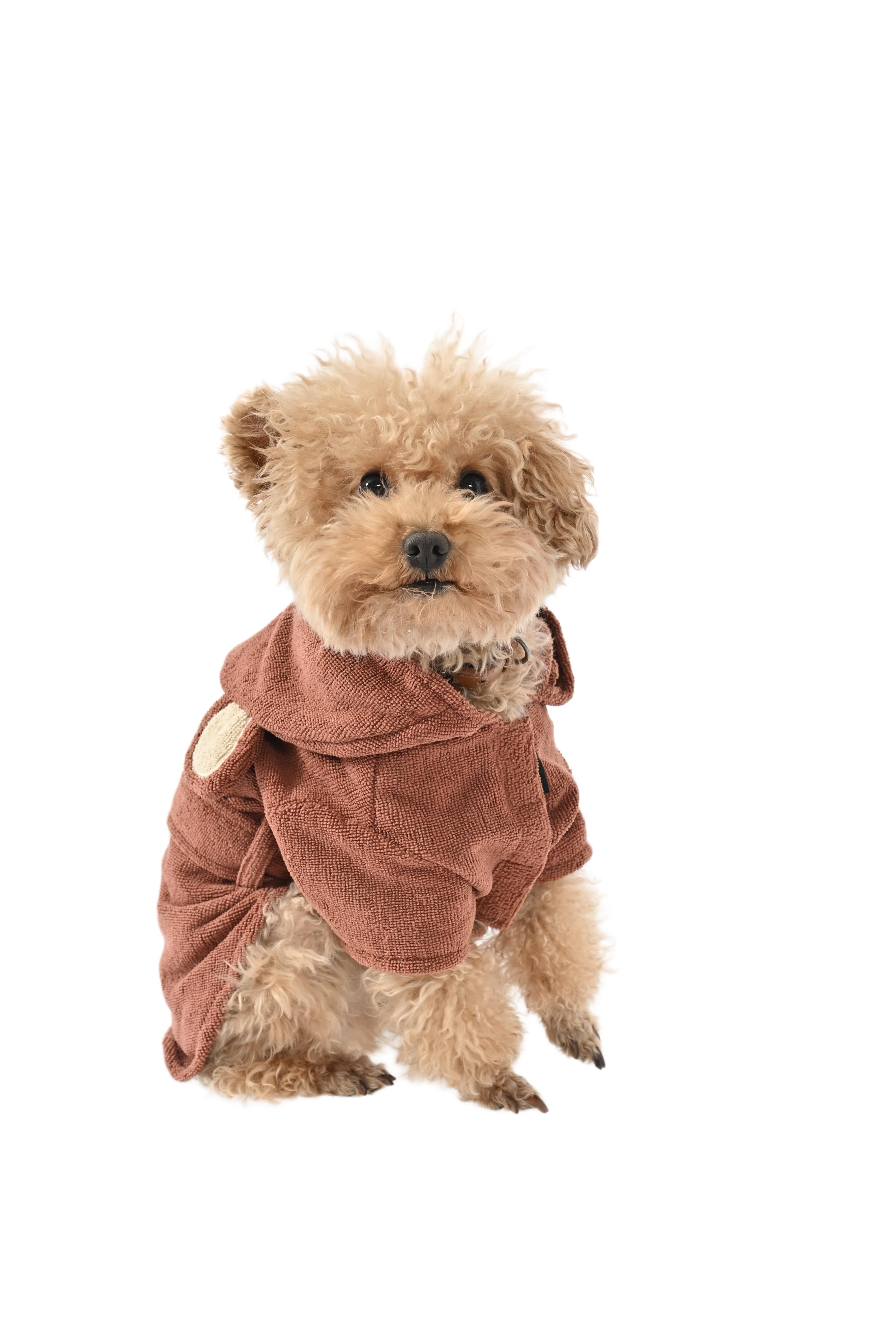 Bloob - Peignoir de bain Ours pour Chiens - M/35cm Image num&eacute;ro 1
