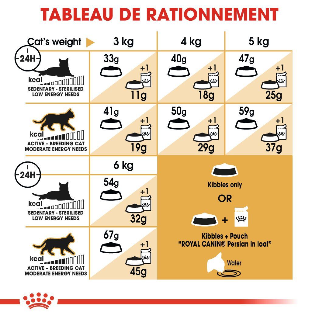 Royal Canin - Croquettes Persian pour Chat Adulte &agrave; partir de 12 Mois - 10Kg Image num&eacute;ro 7