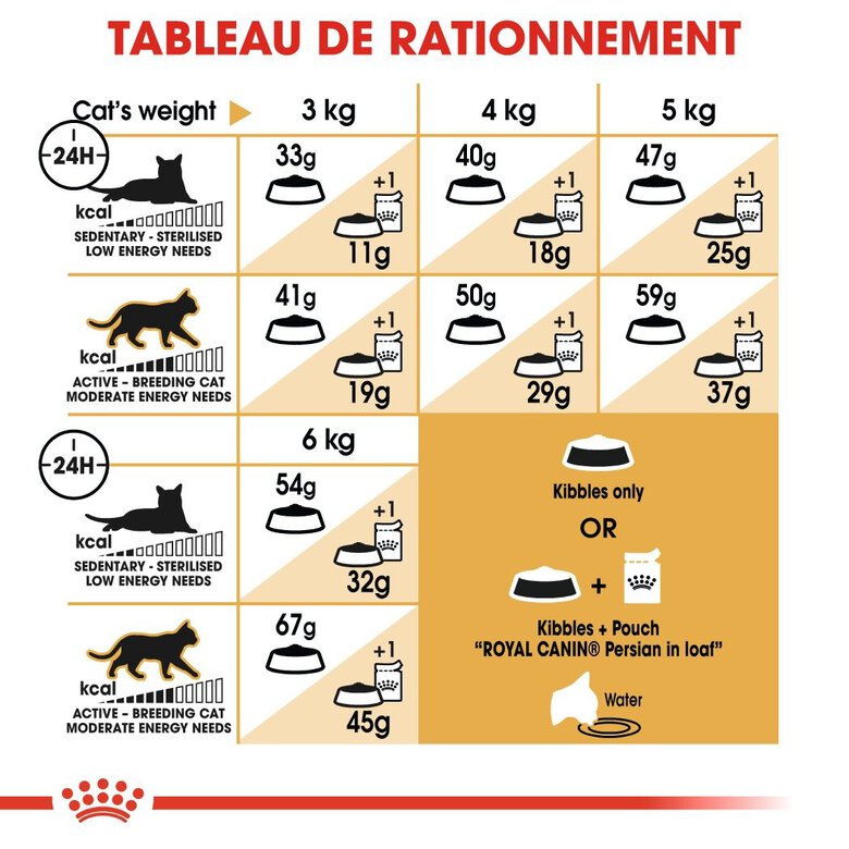 Royal Canin - Croquettes Persian pour Chat Adulte à partir de 12 Mois - 10Kg Image numéro 7 Royal Canin - Croquettes Persian pour Chat Adulte à partir de 12 Mois - 10Kg Image numéro 7