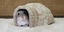 Rosewood - Abri Igloo de Noël pour Hamster Indicateur image numéro 2