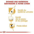 Royal Canin - Croquettes Bichon Frisé pour Chien Adulte - 1,5Kg image number null