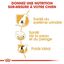 Royal Canin - Croquettes Bichon Frisé pour Chien Adulte - 1,5Kg Indicateur image numéro 5