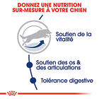 Royal Canin - Croquettes Maxi Adult 5+ pour Grand Chien - 4Kg image number null