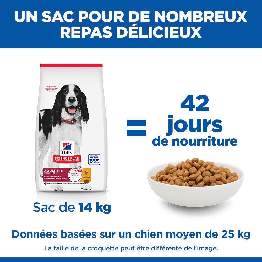 Hill's Science Plan - Croquettes Adult  Au Poulet pour Chiens - 12kg Image num&eacute;ro 14