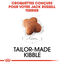 Royal Canin - Croquettes Jack Russell Junior - 3Kg Indicateur image numéro 4