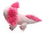 Tootoy! - Peluche Axolotl R&eacute;sistante pour Chiens - 31cm Indicateur image num&eacute;ro 3