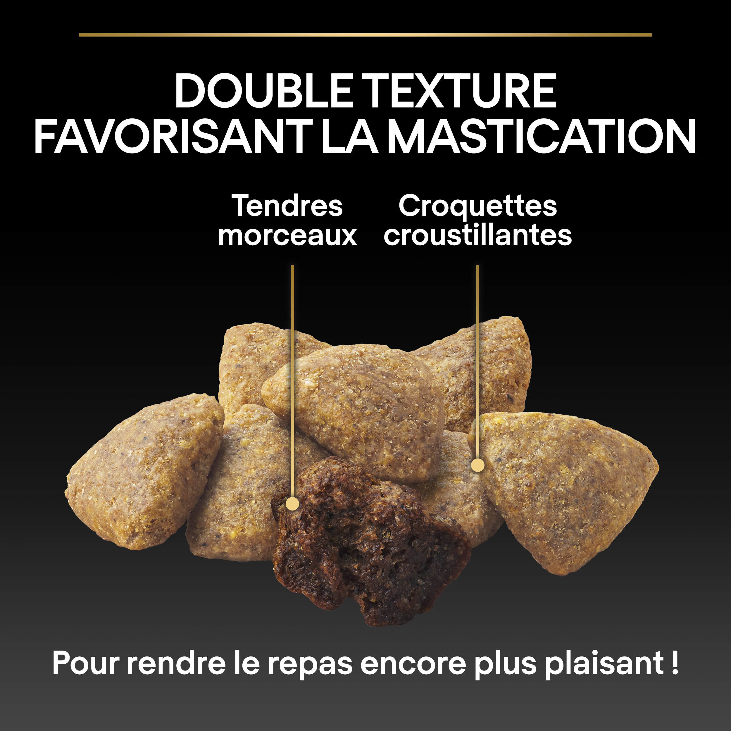 Pro Plan - Croquettes Duo D&eacute;lice Adult au Poulet pour Chien Adulte - 10Kg Image num&eacute;ro 6