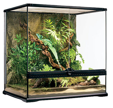 Exo Terra - Terrarium pour Reptiles - 60x45x60cm