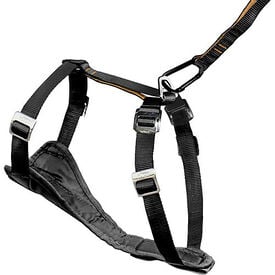 Kurgo - Harnais Transport et Marche Sécurité Tru-Fit pour Chien