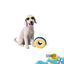 Summer Vibes - Peluche Anneau Flottante pour Chiens - 13cm Indicateur image num&eacute;ro 1