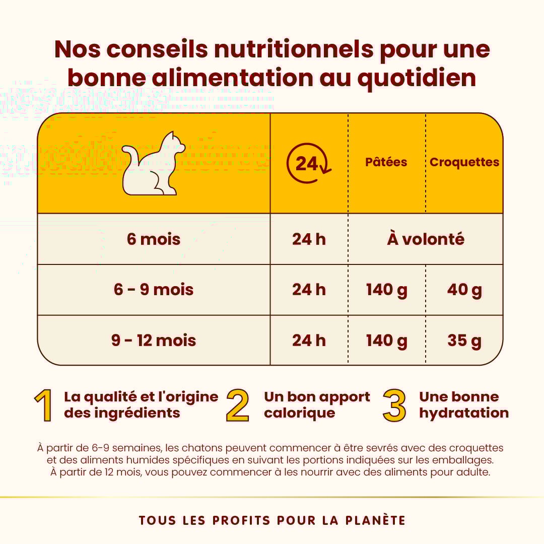 Almo Nature - P&acirc;t&eacute;e en Bo&icirc;te HFC Natural Kitten Poulet pour Chaton - 70g Image num&eacute;ro 7