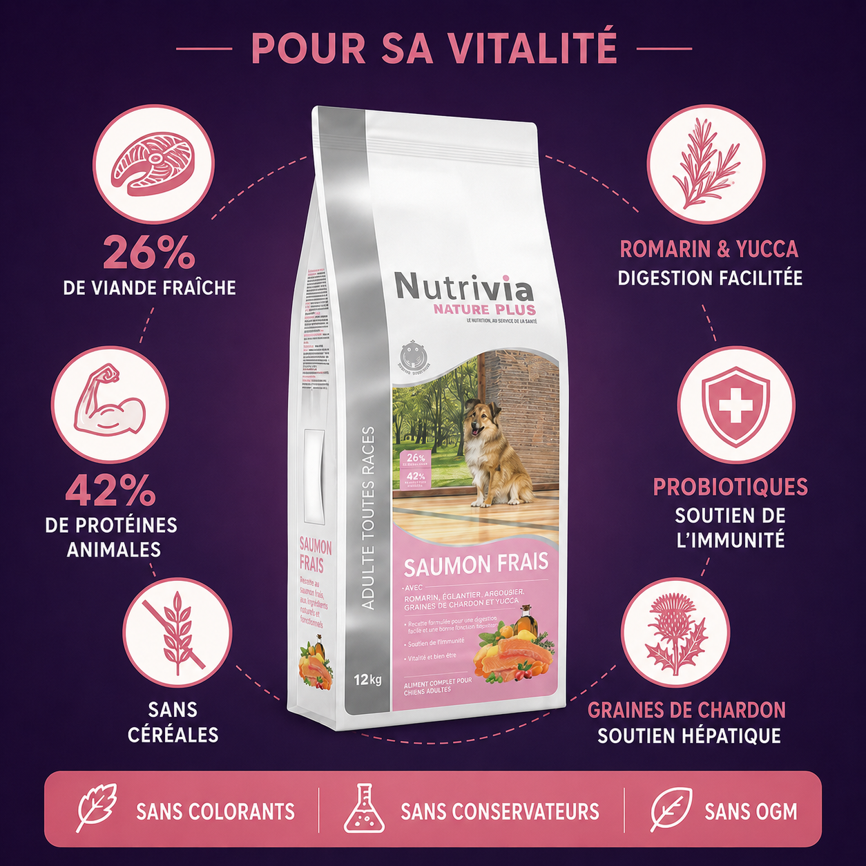 Nutrivia Nature Plus - Croquettes Naturelles au Saumon Frais pour Chien de Toutes Races - 3Kg Image num&eacute;ro 3