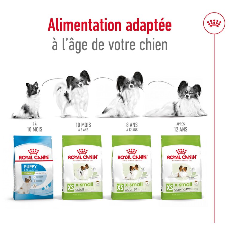 Royal Canin -  Croquettes X SMALL ADULT CHIEN DE TRES PETITE TAILLE - 500G Image numéro 5 Royal Canin -  Croquettes X SMALL ADULT CHIEN DE TRES PETITE TAILLE - 500G Image numéro 5