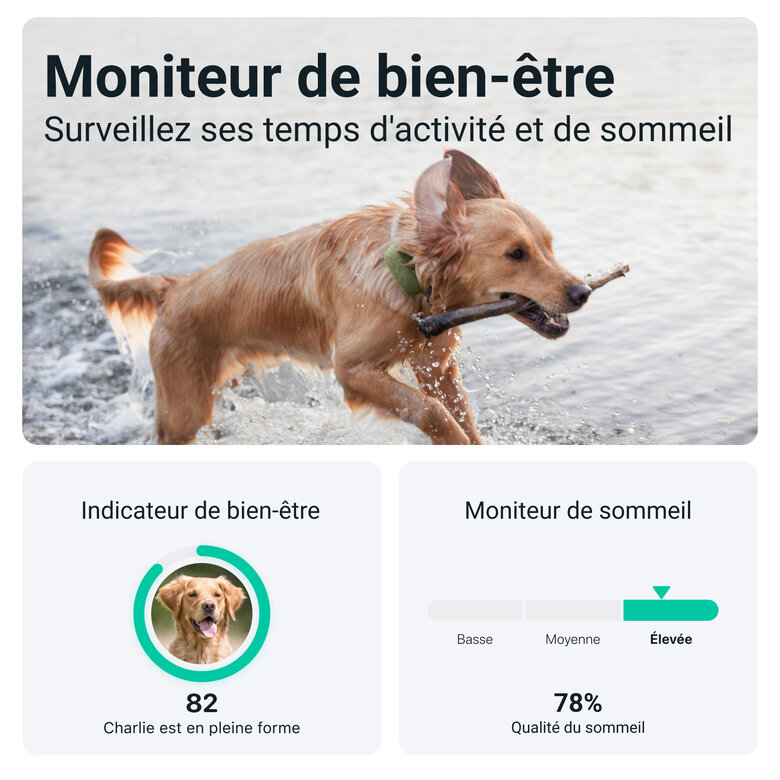 Tractive - Traceur GPS DOG pour Chiens - XL Image numéro 5 Tractive - Traceur GPS DOG pour Chiens - XL Image numéro 5