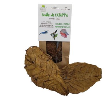 Thibaud - Feuilles de Catappa pour Poissons d'Eau Douce