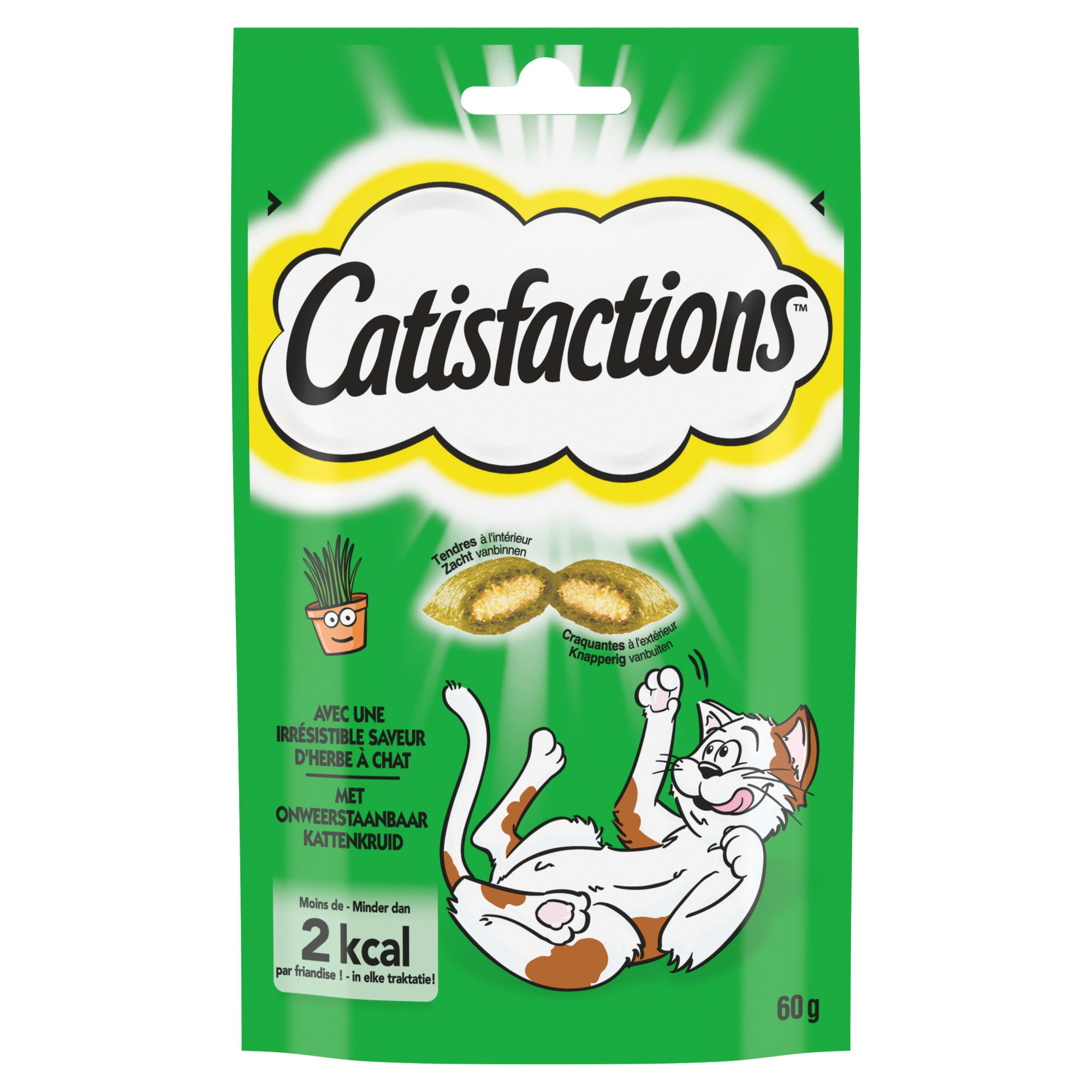 Catisfactions - Friandises Herbe &agrave; Chat pour Chats - 60g Image num&eacute;ro 1