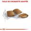 Royal Canin - Croquettes Ageing +12 pour Chat Senior - 4Kg Indicateur image numéro 6