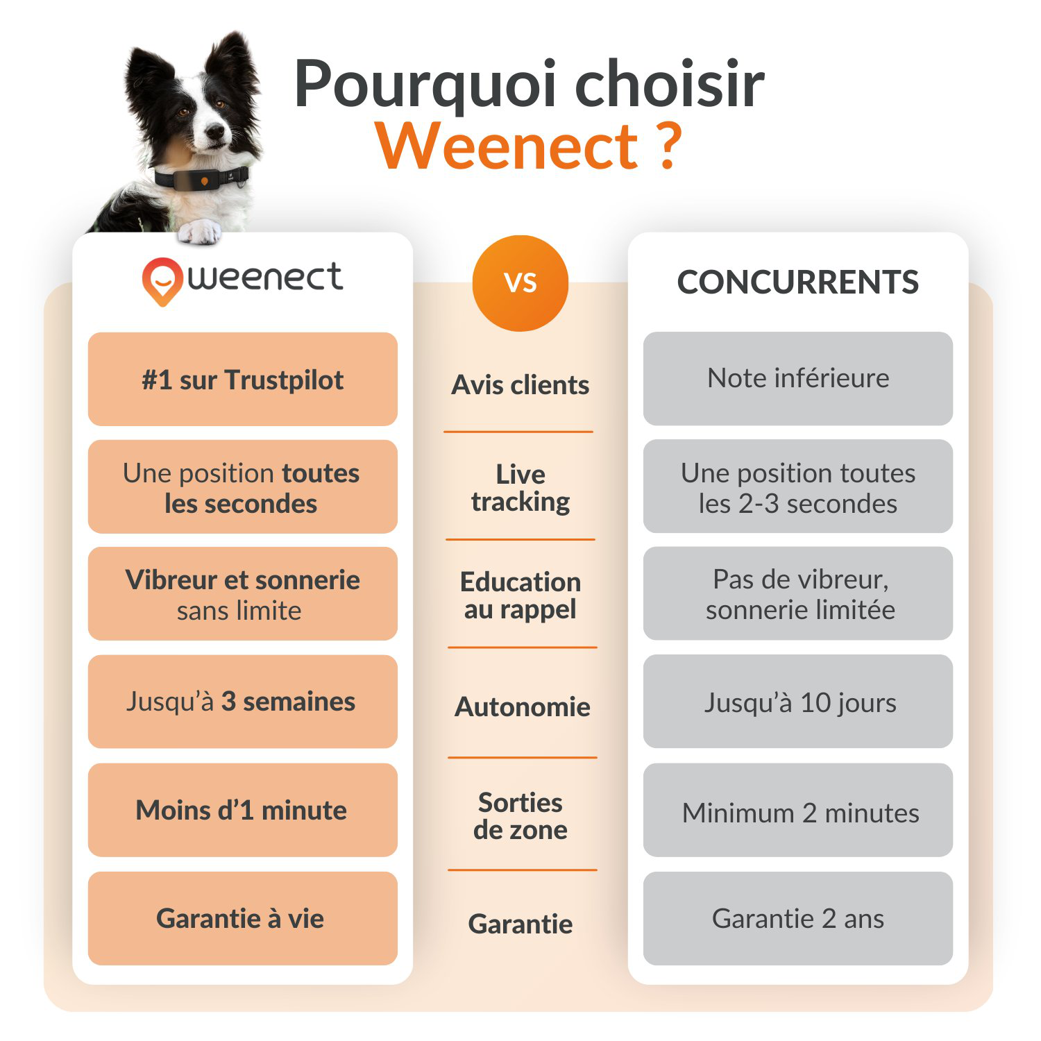 Weenect - Collier GPS XT Chiens - Noir Image num&eacute;ro 16