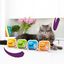 Edgard & Cooper - Multipack Pâtées au Poulet Dinde Saumon et Agneau pour Chat - 8x85g Indicateur image numéro 3