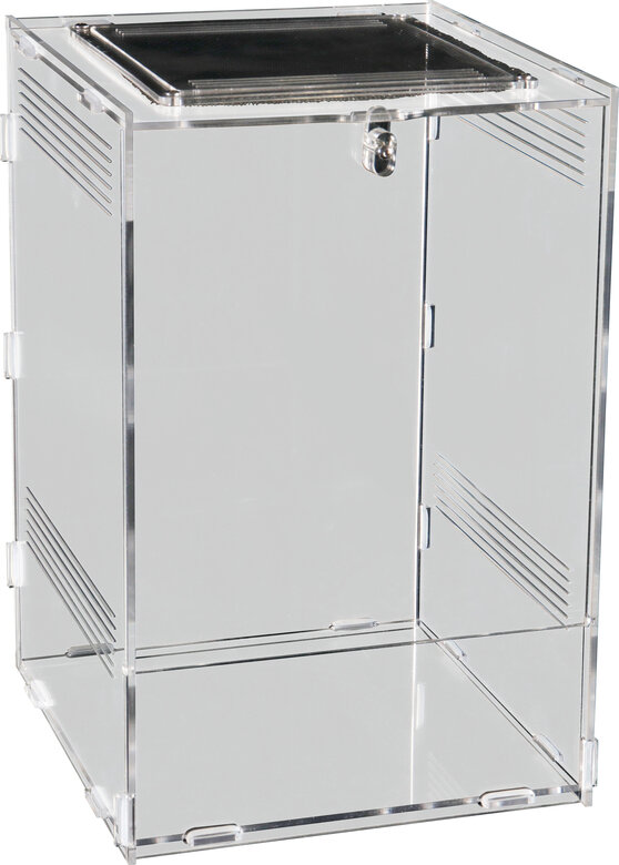 Repto - Terrarium AcryliqueTerra Clear - 19,5x18,5x29cm Image numéro 2 Repto - Terrarium AcryliqueTerra Clear - 19,5x18,5x29cm Image numéro 2