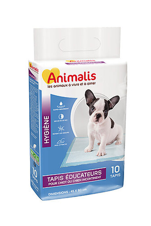 Animalis - Tapis Éducateurs - 45x60cm image number null
