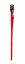 Animalis - Laisse Basic Confort Rouge pour Chien - 15mm et 120cm Indicateur image numéro 1