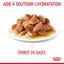 Royal Canin - Sachets Hairball Care en Sauce pour Chat - 12x85g Indicateur image numéro 4