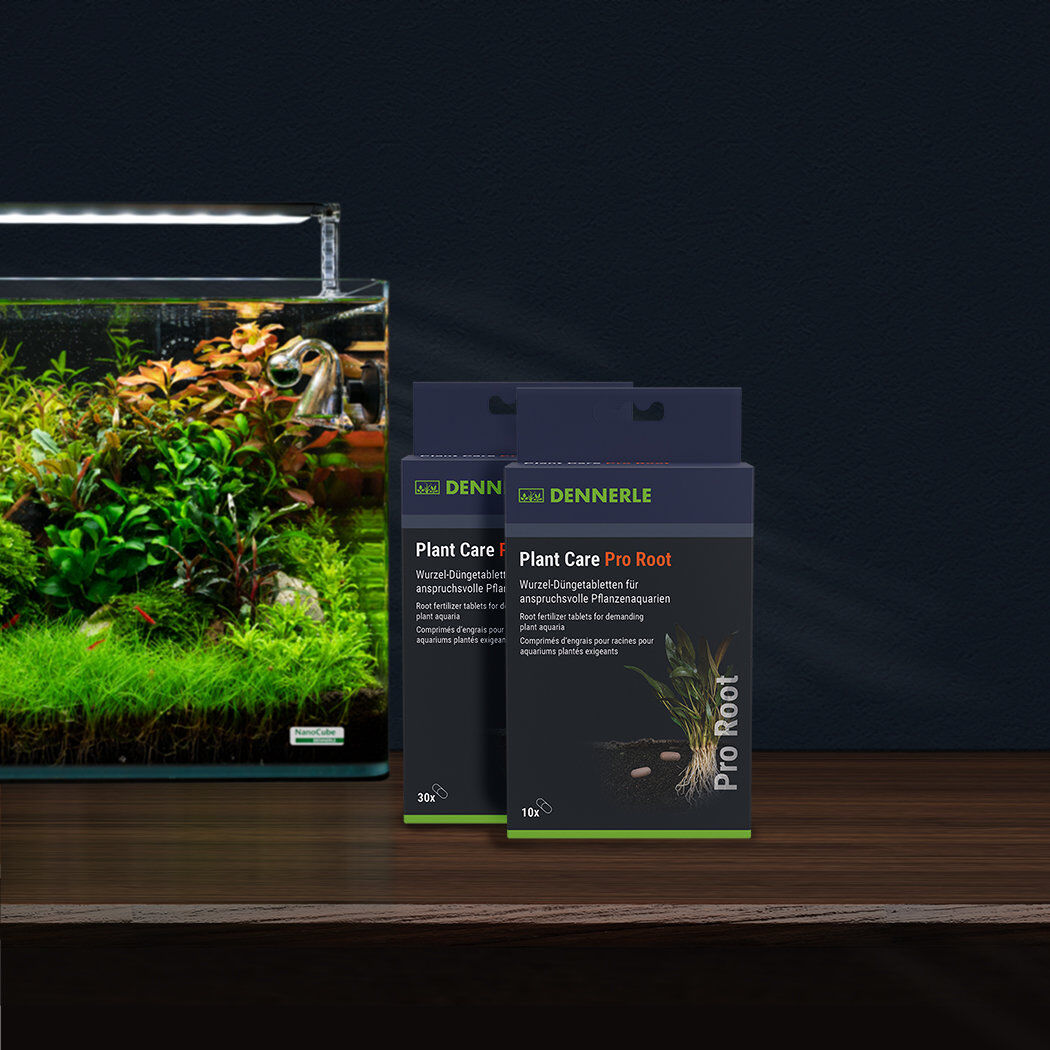 Dennerle - Comprim&eacute;s d'engrais pour Racines Plant Care Pro Root - x10 Image num&eacute;ro 3