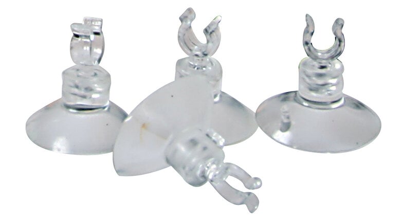 Zolux - Lot de Ventouses 4/6mm pour Tuyau à Air - x4 Image numéro 1 Zolux - Lot de Ventouses 4/6mm pour Tuyau à Air - x4 Image numéro 1