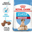 Royal Canin - Croquettes Starter Mother & Babydog Medium pour Chiennes et Chiots - 4KG Indicateur image numéro 1