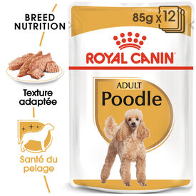Royal Canin - Pâtée en Mousse POODLE ADULT pour Chiens - 12X85g