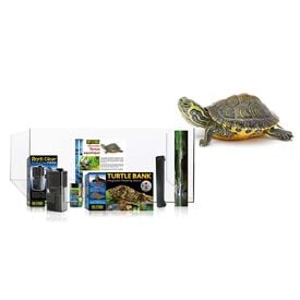 Exo Terra - Terrarium tortue Kit - 60x35x23cm