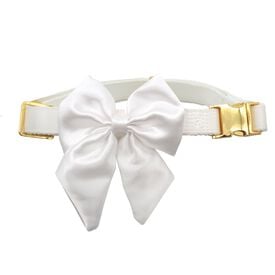 Croci - Collier Smoking Ceremony pour Chiens