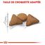 Royal Canin - Croquettes Appetite Control Indoor pour Chat d'Intérieur - 2Kg Indicateur image numéro 4