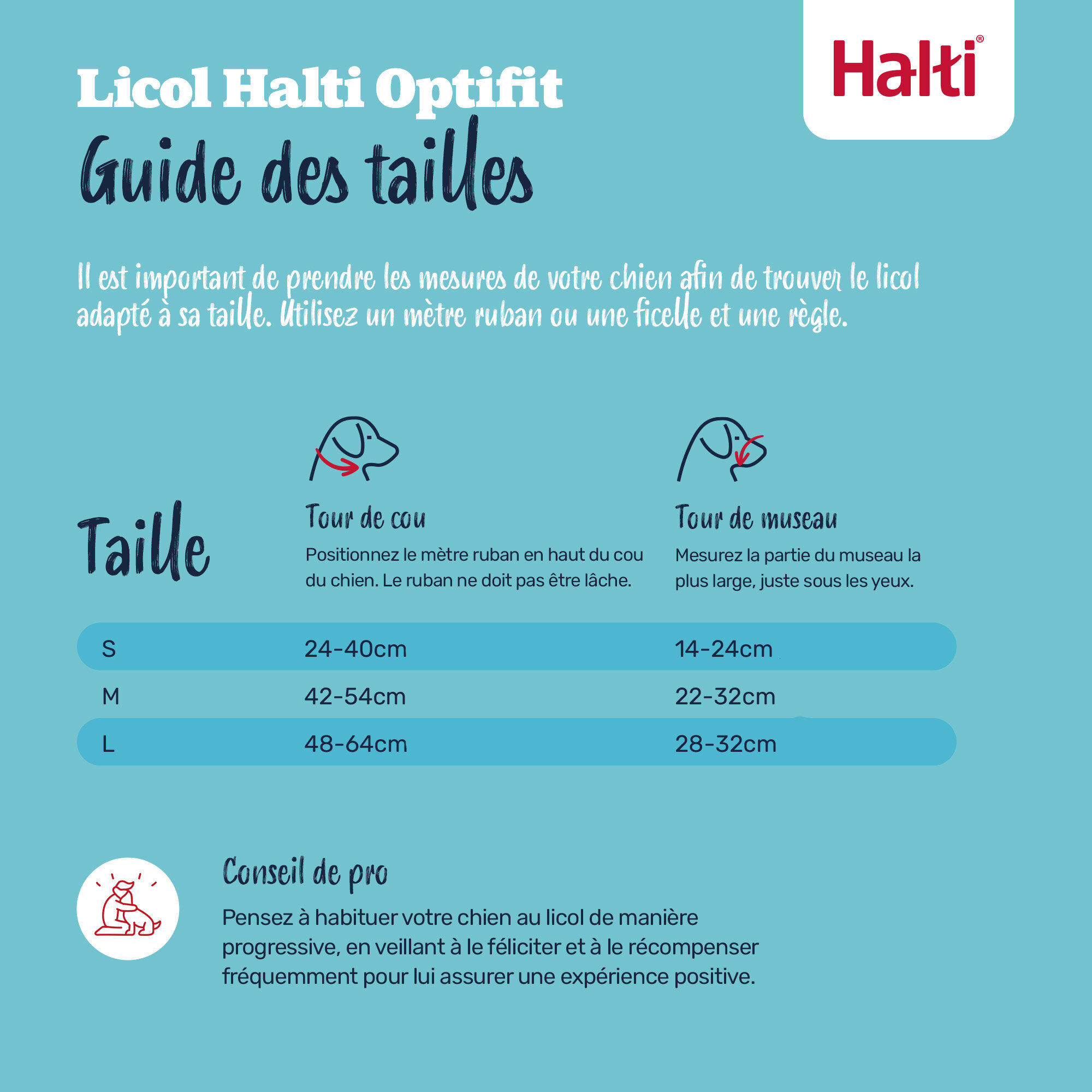 Halti - Licol Optifit Headcollar Gris pour Chiens - S Image num&eacute;ro 4