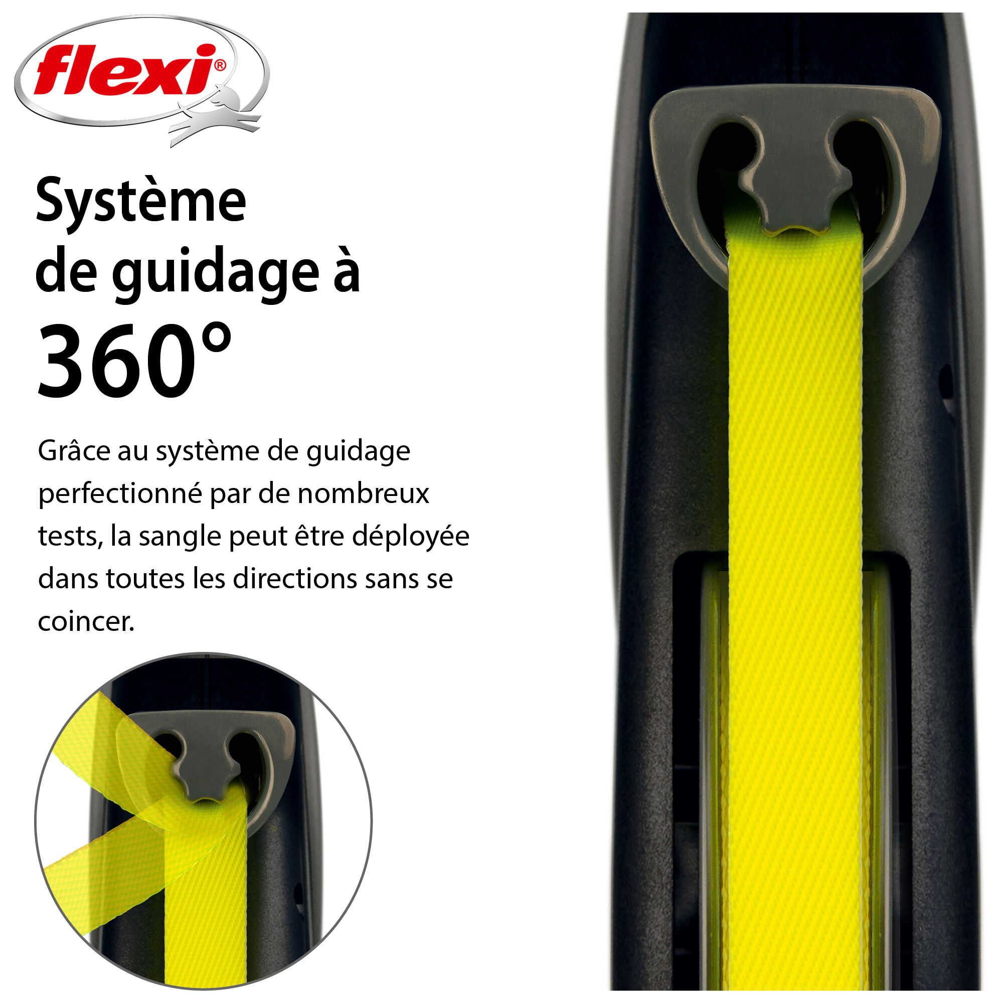 Flexi - Laisse Giant avec Sangle de 8m pour Chien M - Reflect Image num&eacute;ro 6