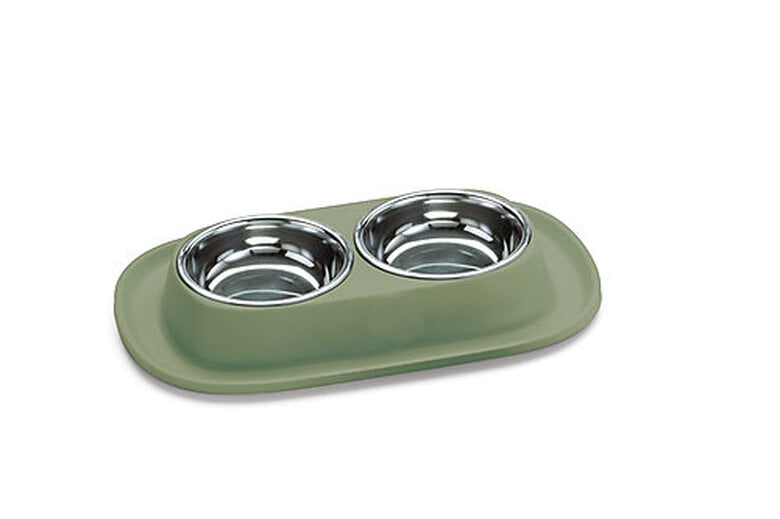 Animalis - Gamelle Double en Inox pour Chat - Vert image number null