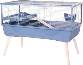 Zolux - Cage CAV Neolife Bleu pour Cochons d'Inde - 100cm
