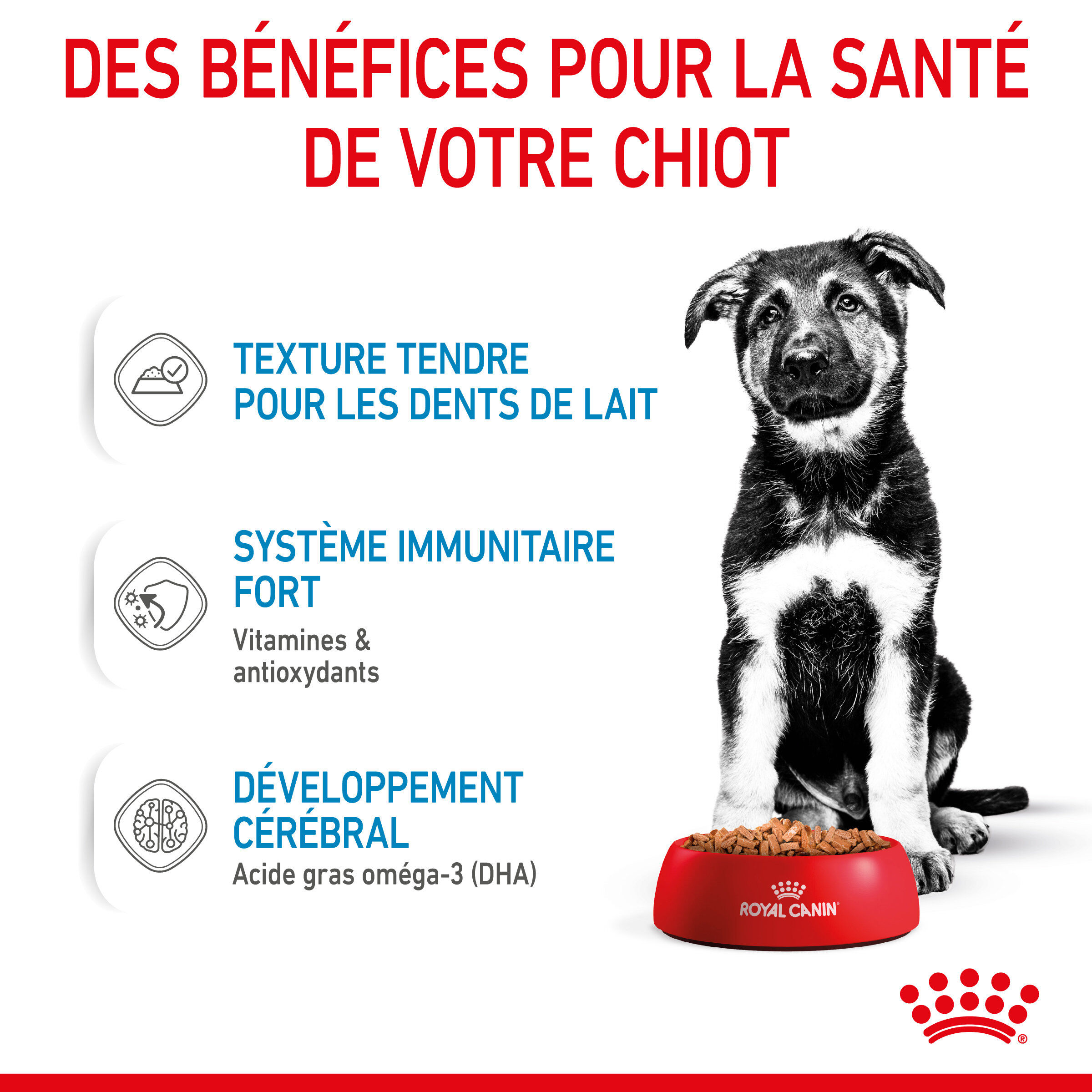 Royal Canin - Sachets Puppy Maxi en Sauce pour Chiot - 10x140g Image num&eacute;ro 2