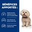 Hill's - Croquettes Prescription Diet Z/D Mini Sensitivities pour Petits Chiens - 1Kg Indicateur image numéro 3