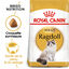 Royal Canin - Croquettes Ragdoll Adult pour Chat - 2Kg Indicateur image numéro 1
