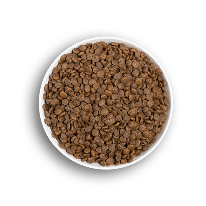 Era - Croquettes Sans C&eacute;r&eacute;ales Saumon et Dinde pour Chats Sensibles - 1,25kg Image num&eacute;ro 3