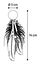 Flamingo - Jouet Boleo Balle pour Chats - 14cm Indicateur image numéro 3