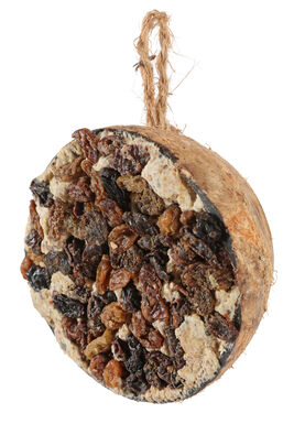 Zolux - Demi noix de coco avec graisse et raisins