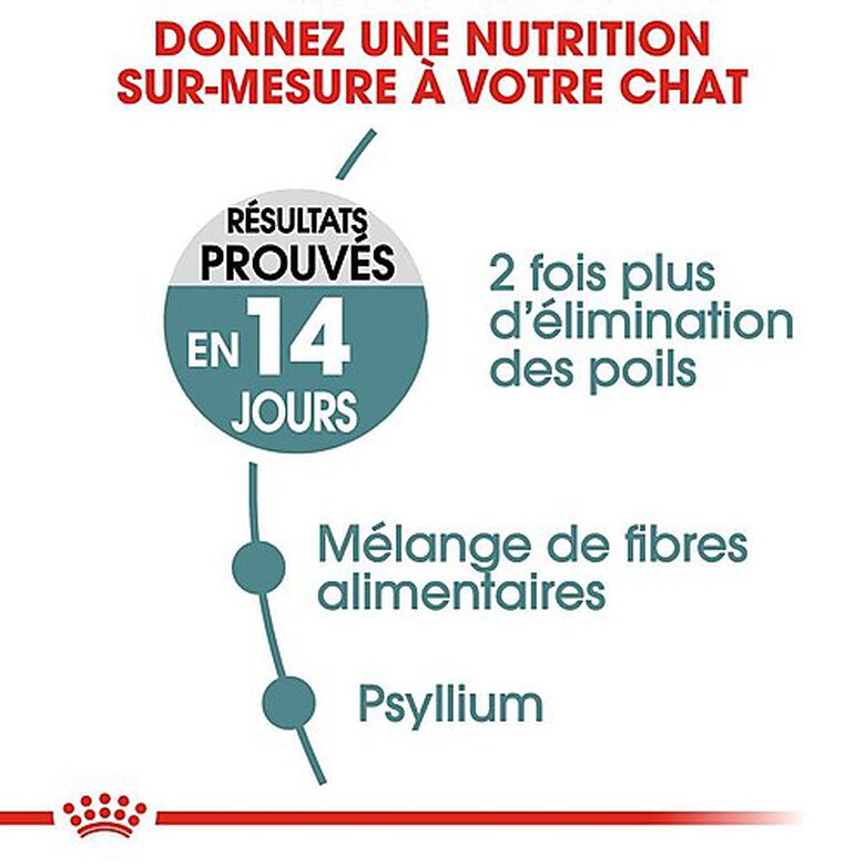 Royal Canin - Croquettes Hairball Care pour Chat - 4Kg Image numéro 4 Royal Canin - Croquettes Hairball Care pour Chat - 4Kg Image numéro 4