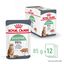 ROYAL CANIN - SACHET FRAICHEUR DIGESTIVE CARE EN MOUSSE CHAT ADULTE - 12x85g Indicateur image numéro 2