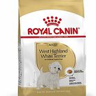 Royal Canin - Croquettes Westie pour Chien Adulte - 3Kg image number null