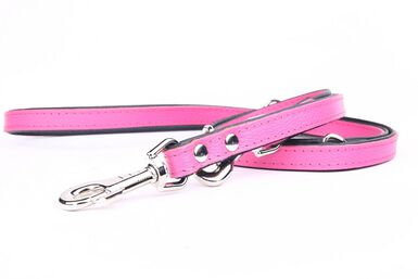 Yogipet - Laisse Ajustable pour Chien Rose