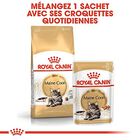 Royal Canin - Sachets Maine Coon en Sauce pour Chat - 12x85g image number null