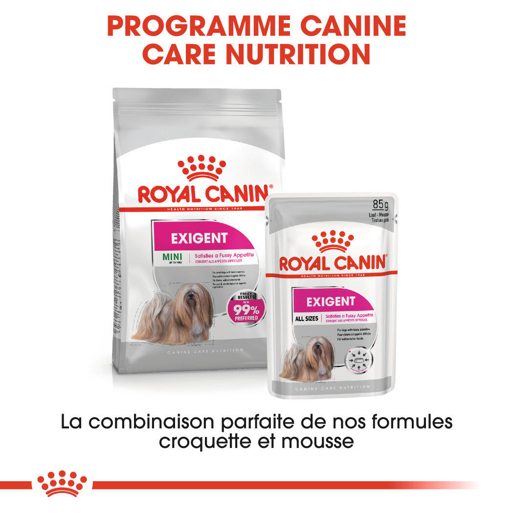 Royal Canin - P&acirc;t&eacute;e Exigent en Mousse pour Chien - 12x85g Image num&eacute;ro 7
